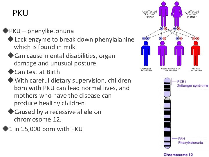 PKU – phenylketonuria Lack enzyme to break down phenylalanine which is found in milk.