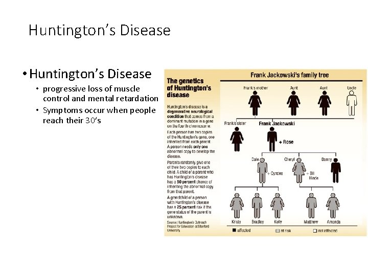 Huntington’s Disease • progressive loss of muscle control and mental retardation • Symptoms occur