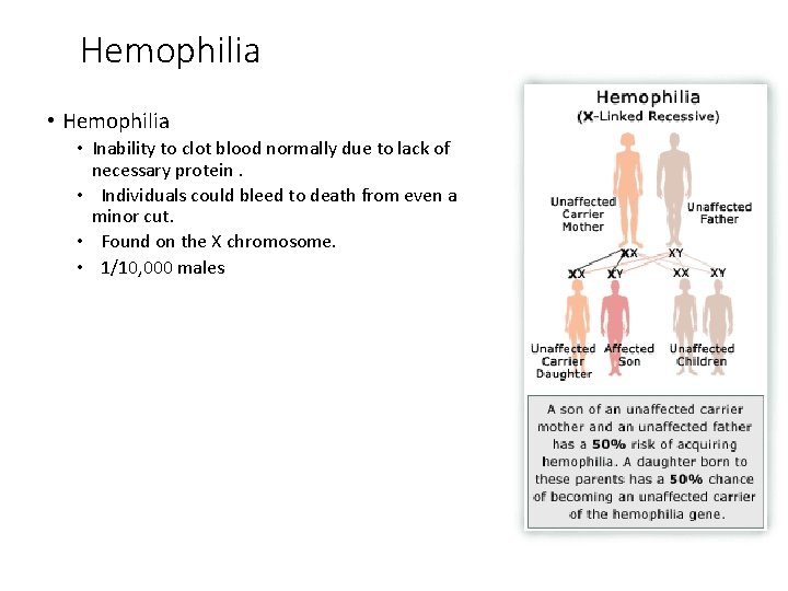 Hemophilia • Inability to clot blood normally due to lack of necessary protein. •