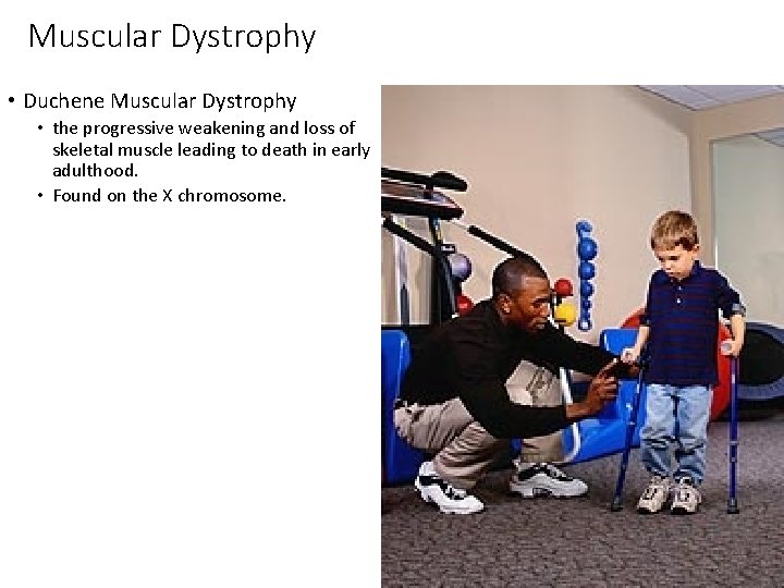 Muscular Dystrophy • Duchene Muscular Dystrophy • the progressive weakening and loss of skeletal