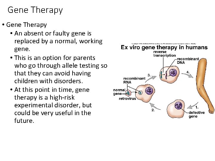 Gene Therapy • An absent or faulty gene is replaced by a normal, working