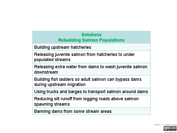 Solutions Rebuilding Salmon Populations Building upstream hatcheries Releasing juvenile salmon from hatcheries to under