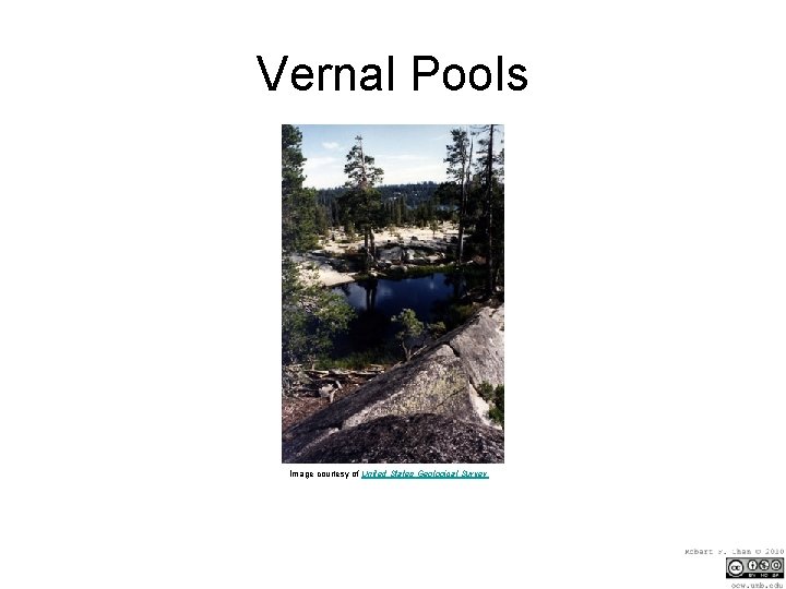 Vernal Pools Image courtesy of United States Geological Survey 