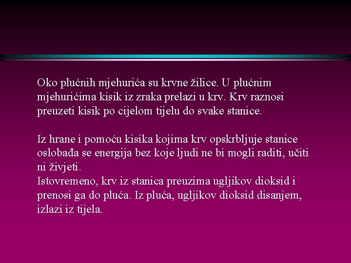 Oko plućnih mjehurića su krvne žilice. U plućnim mjehurićima kisik iz zraka prelazi u