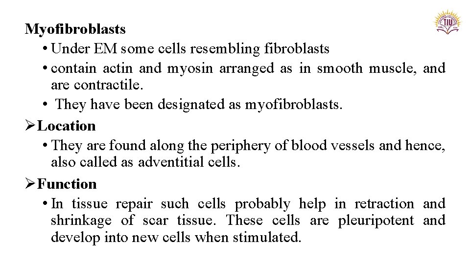 Myofibroblasts • Under EM some cells resembling fibroblasts • contain actin and myosin arranged