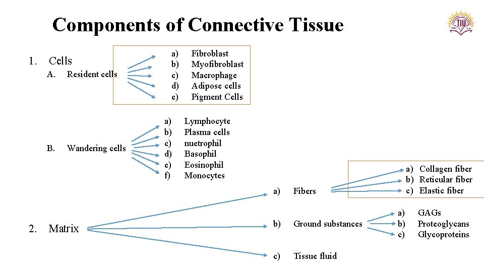 Components of Connective Tissue 1. Cells A. B. Resident cells Wandering cells a) b)