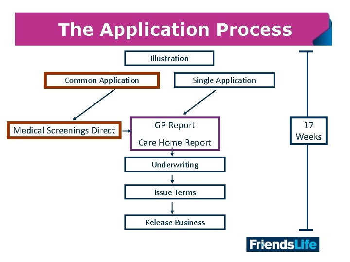 The Application Process Illustration Common Application Medical Screenings Direct Single Application GP Report Care