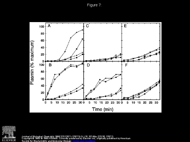 Figure 7: Journal of Biological Chemistry 1995 27017871 -17877 DOI: (10. 1074/jbc. 270. 30.