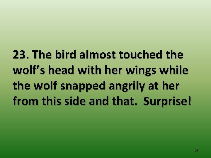 23. The bird almost touched the wolf’s head with her wings while the wolf