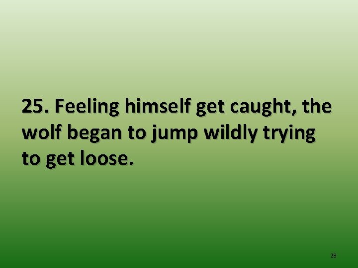 25. Feeling himself get caught, the wolf began to jump wildly trying to get