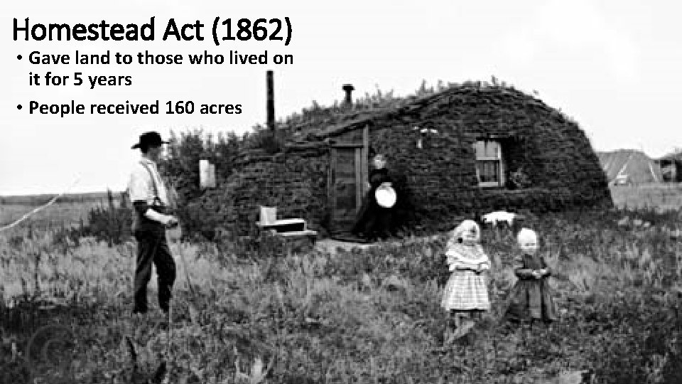 Homestead Act (1862) • Gave land to those who lived on it for 5