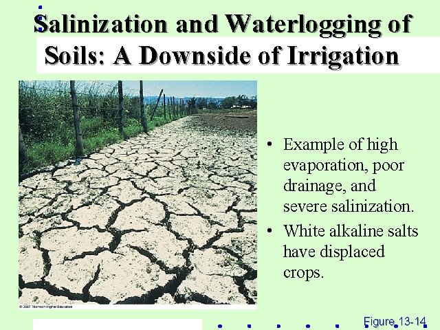 Salinization and Waterlogging of Soils: A Downside of Irrigation • Example of high evaporation,