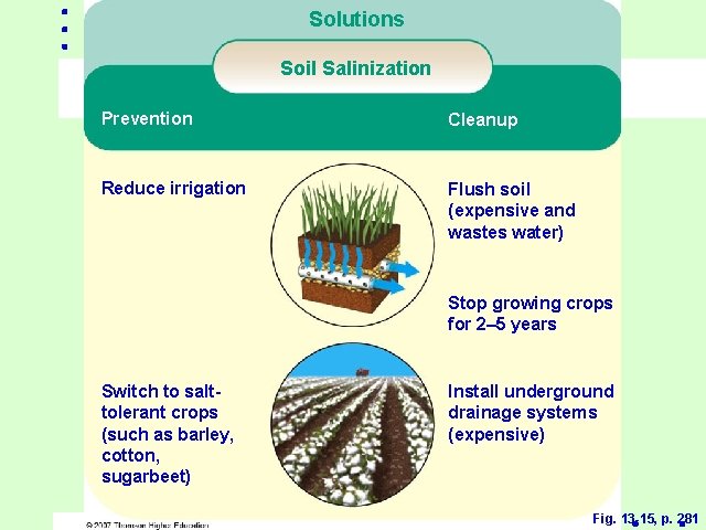 Solutions Soil Salinization Prevention Cleanup Reduce irrigation Flush soil (expensive and wastes water) Stop