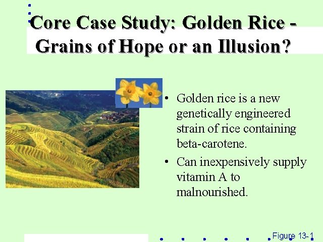Core Case Study: Golden Rice Grains of Hope or an Illusion? • Golden rice