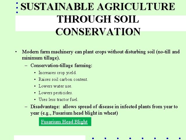 SUSTAINABLE AGRICULTURE THROUGH SOIL CONSERVATION • Modern farm machinery can plant crops without disturbing
