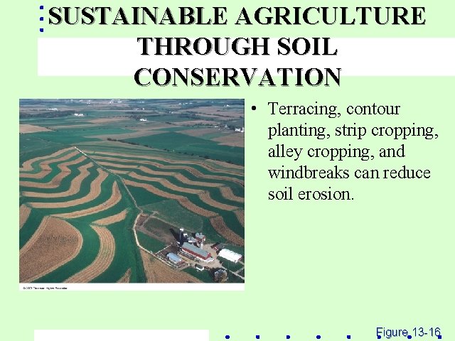 SUSTAINABLE AGRICULTURE THROUGH SOIL CONSERVATION • Terracing, contour planting, strip cropping, alley cropping, and