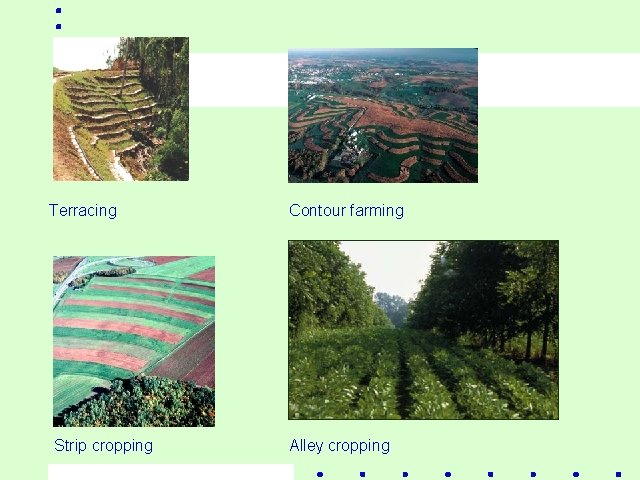 Terracing Strip cropping Contour farming Alley cropping 