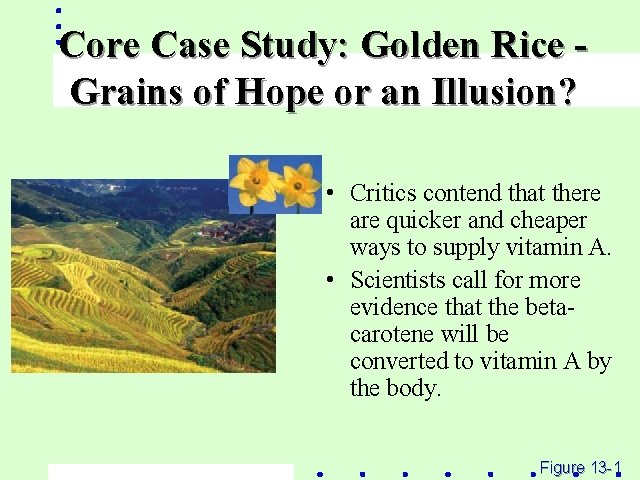 Core Case Study: Golden Rice Grains of Hope or an Illusion? • Critics contend
