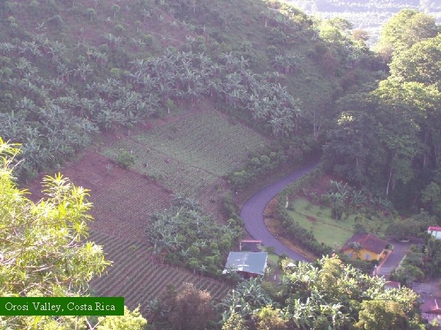 Orosi Valley, Costa Rica 