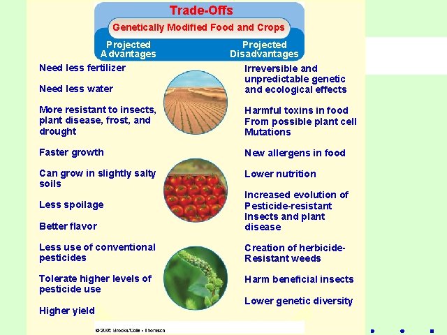 Trade-Offs Genetically Modified Food and Crops Figure 14 -19 Page 292 Projected Advantages Need