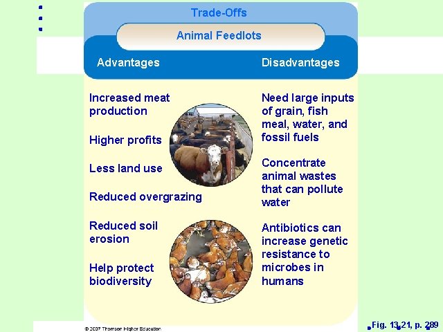 Trade-Offs Animal Feedlots Advantages Increased meat production Higher profits Less land use Reduced overgrazing