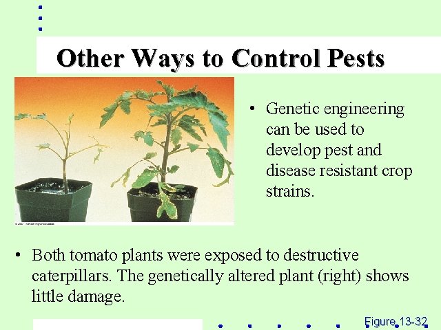 Other Ways to Control Pests • Genetic engineering can be used to develop pest