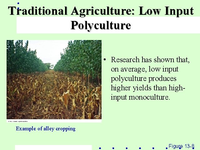 Traditional Agriculture: Low Input Polyculture • Research has shown that, on average, low input