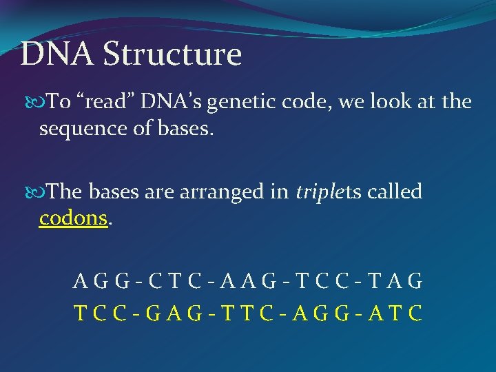 DNA Structure To “read” DNA’s genetic code, we look at the sequence of bases.