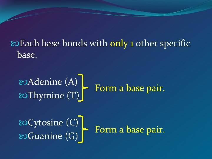  Each base bonds with only 1 other specific base. Adenine (A) Thymine (T)