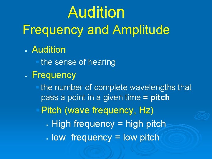 Audition Frequency and Amplitude § Audition § the sense of hearing § Frequency §