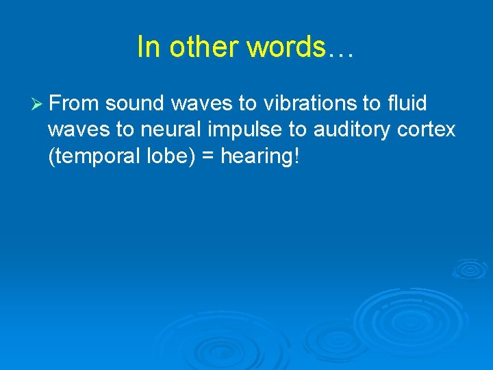 In other words… Ø From sound waves to vibrations to fluid waves to neural