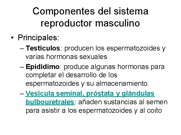 Componentes del sistema reproductor masculino • Principales: – Testículos: producen los espermatozoides y varias