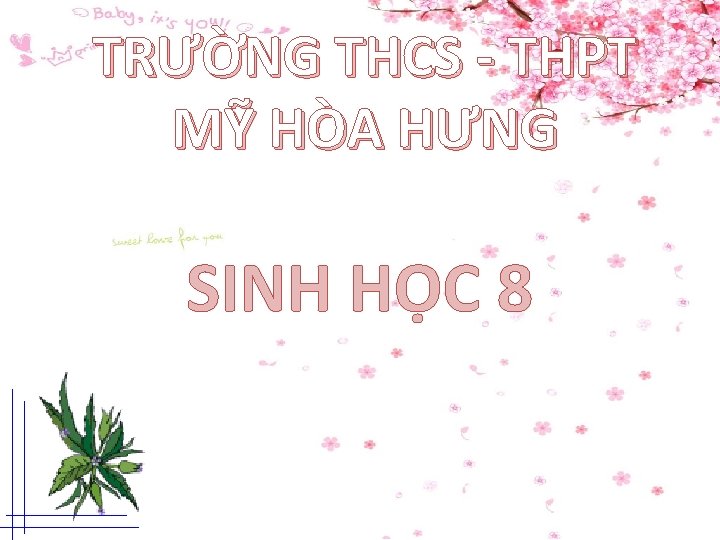 TRƯỜNG THCS - THPT MỸ HÒA HƯNG SINH HỌC 8 TRƯỜNG THCS - THPT MỸ HÒA HƯNG SINH HỌC 8