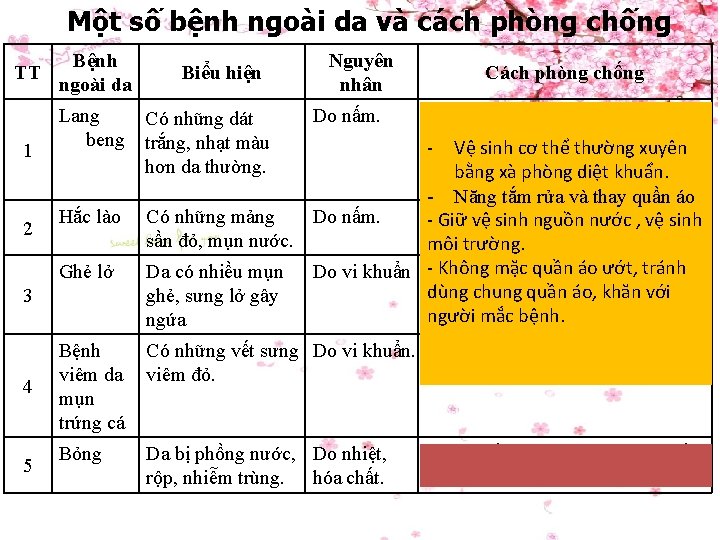 Một số bệnh ngoài da và cách phòng chống TT 1 2 Bệnh ngoài