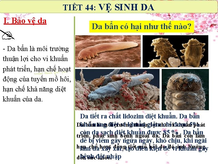 TIẾT 44: VỆ SINH DA I. Bảo vệ da Da bẩn có hại như