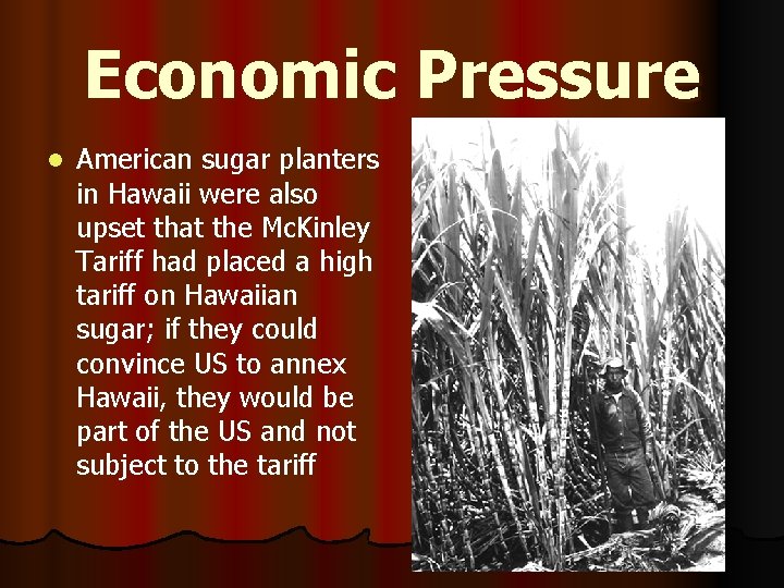 Economic Pressure l American sugar planters in Hawaii were also upset that the Mc.