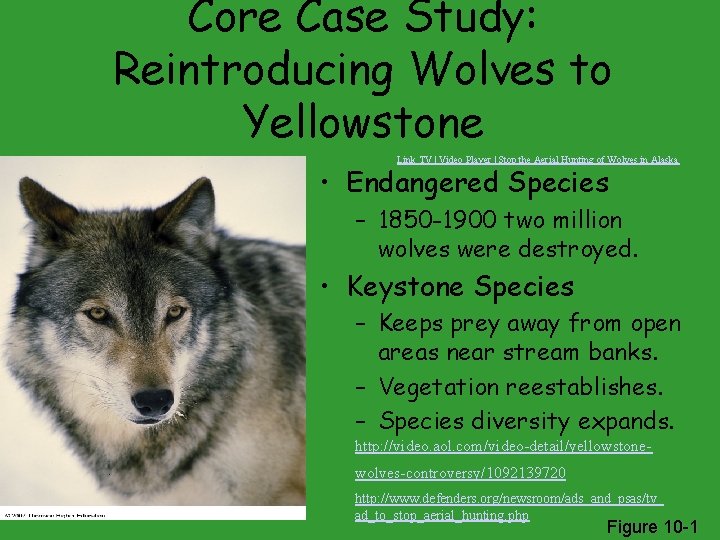 Chapter 10 Sustaining Terrestrial Biodiversity The Ecosystem Approach
