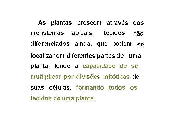 As plantas crescem através dos meristemas apicais, tecidos não diferenciados ainda, que podem se