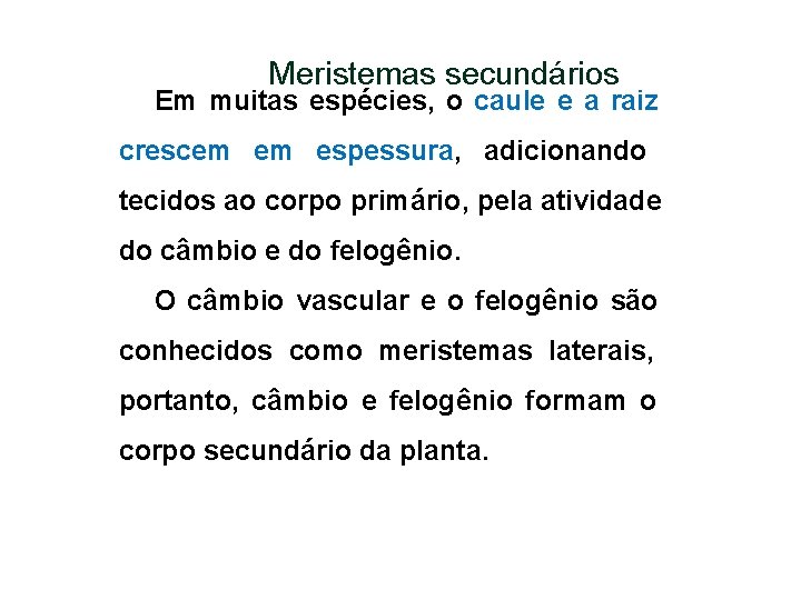 Meristemas secundários Em muitas espécies, o caule e a raiz crescem em espessura, adicionando