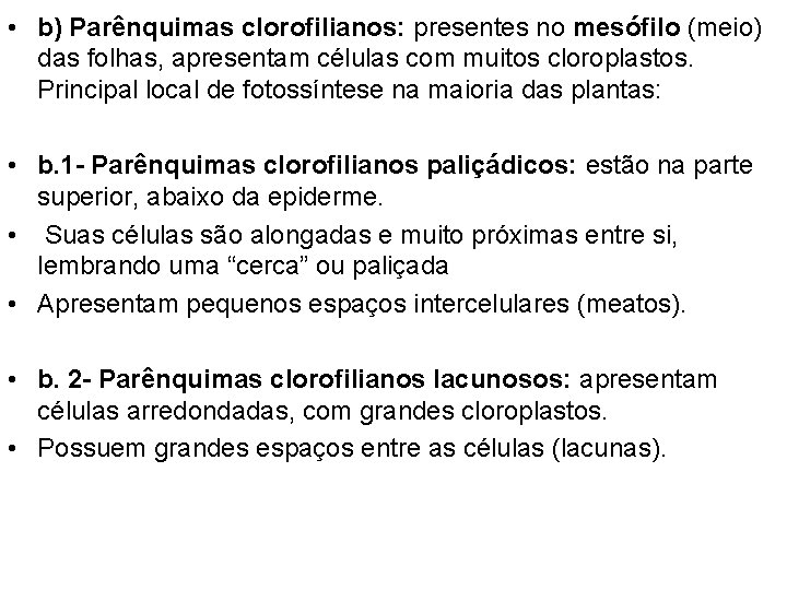  • b) Parênquimas clorofilianos: presentes no mesófilo (meio) das folhas, apresentam células com