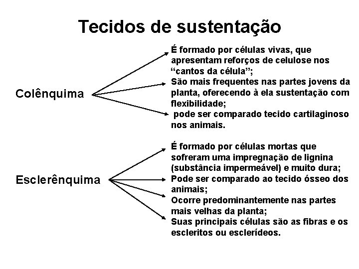 Tecidos de sustentação Colênquima Esclerênquima É formado por células vivas, que apresentam reforços de