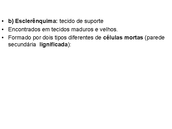  • b) Esclerênquima: tecido de suporte • Encontrados em tecidos maduros e velhos.