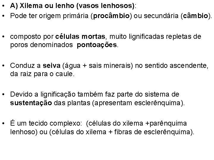  • A) Xilema ou lenho (vasos lenhosos): • Pode ter origem primária (procâmbio)