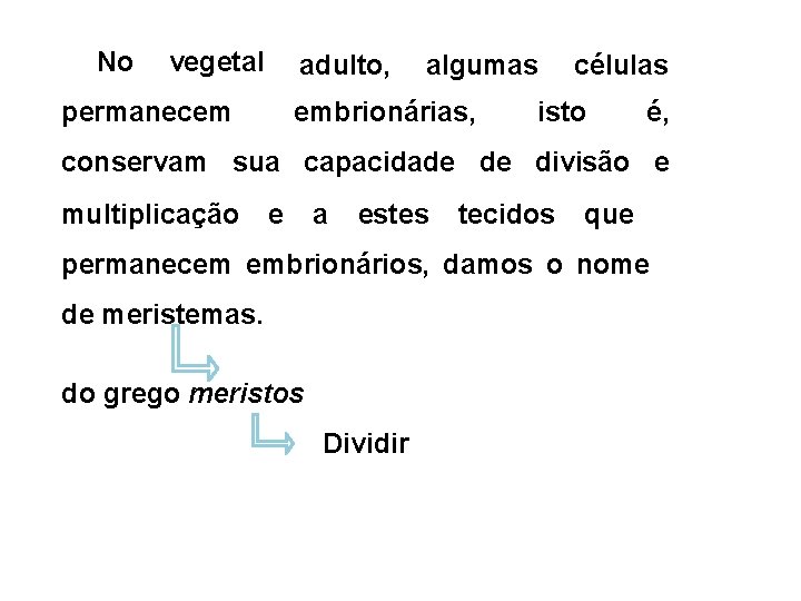 No vegetal adulto, permanecem algumas embrionárias, células isto é, conservam sua capacidade de divisão