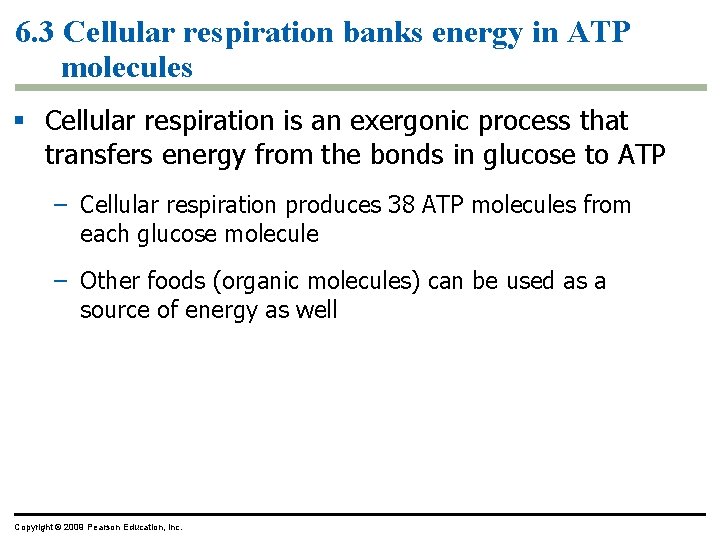6. 3 Cellular respiration banks energy in ATP molecules § Cellular respiration is an