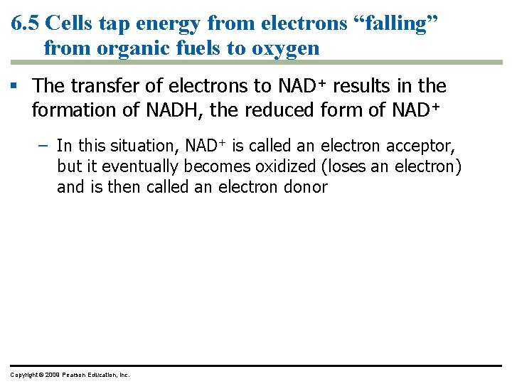 6. 5 Cells tap energy from electrons “falling” from organic fuels to oxygen §
