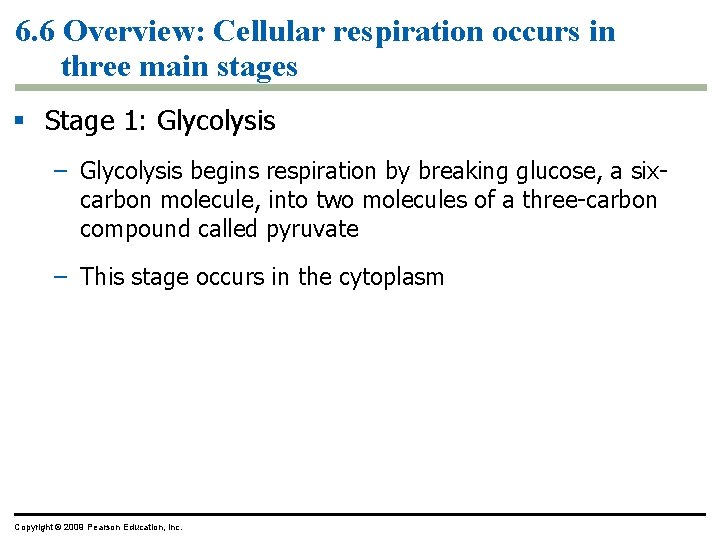 6. 6 Overview: Cellular respiration occurs in three main stages § Stage 1: Glycolysis