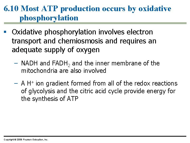 6. 10 Most ATP production occurs by oxidative phosphorylation § Oxidative phosphorylation involves electron