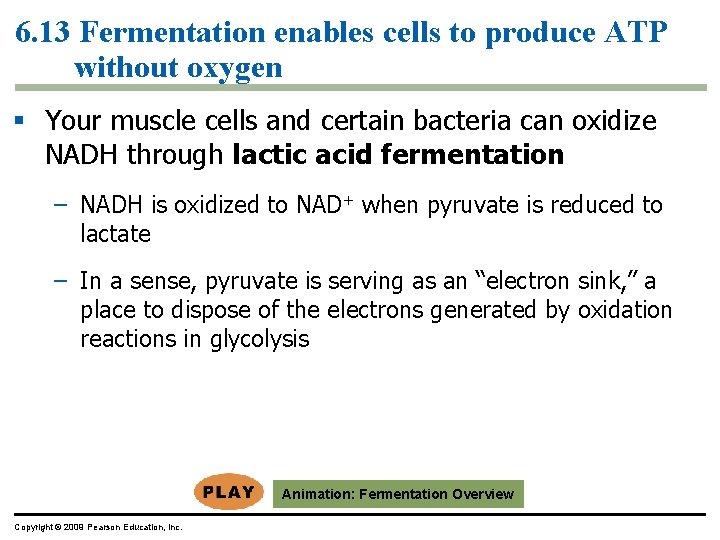 6. 13 Fermentation enables cells to produce ATP without oxygen § Your muscle cells