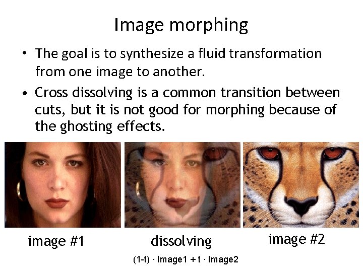 Image morphing • The goal is to synthesize a fluid transformation from one image